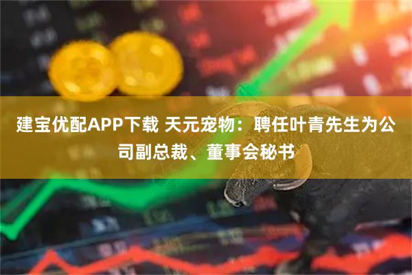 建宝优配APP下载 天元宠物：聘任叶青先生为公司副总裁、董事会秘书