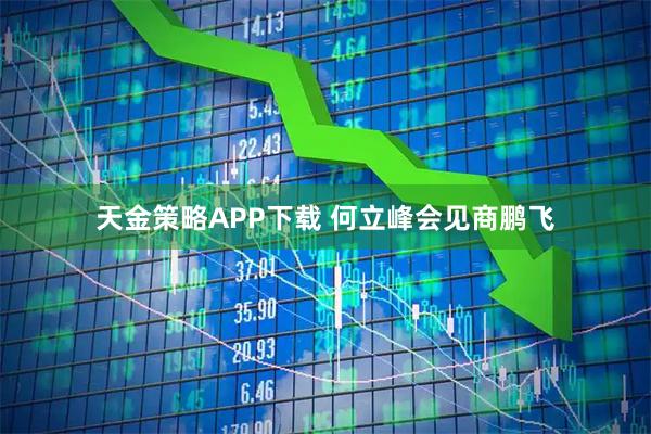 天金策略APP下载 何立峰会见商鹏飞